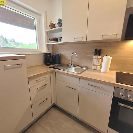 Ferienhaus In - Steiermark 41120 Bad Mitterndorf